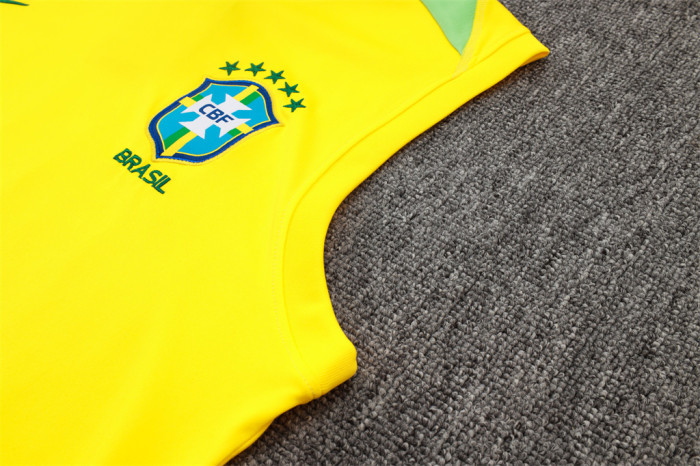 Brazil Training Jersey 24/25