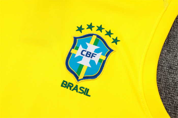 Brazil Training Jersey 24/25