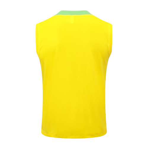 Brazil Training Jersey 24/25
