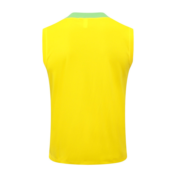 Brazil Training Jersey 24/25