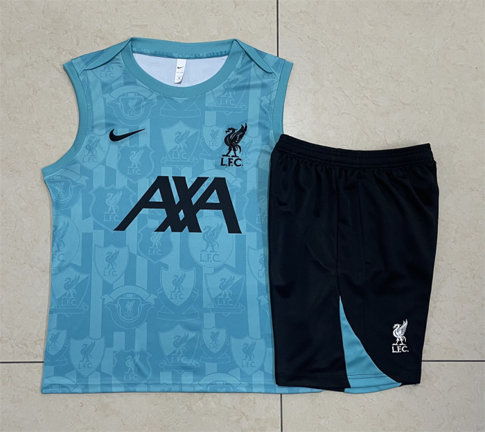 Liverpool Training Jersey 24/25