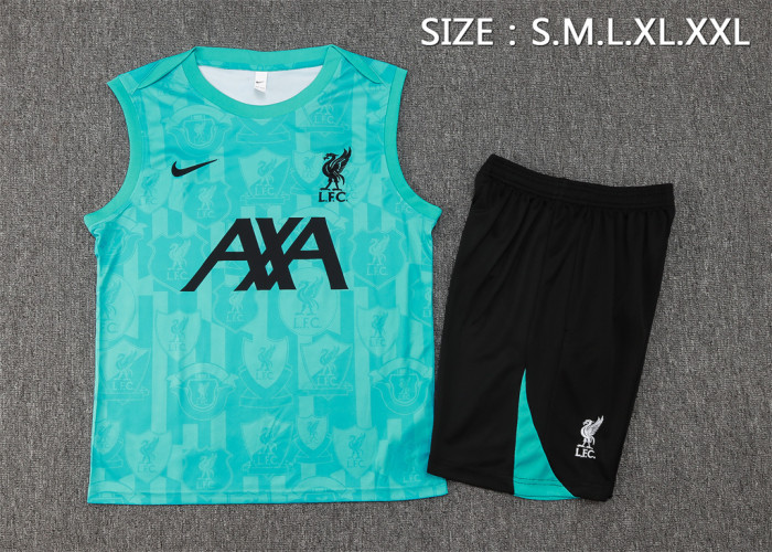 Liverpool Training Jersey 24/25