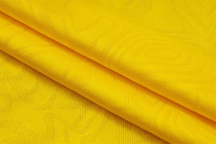 Borussia Dortmund Training Short sleeve Jersey 24/25