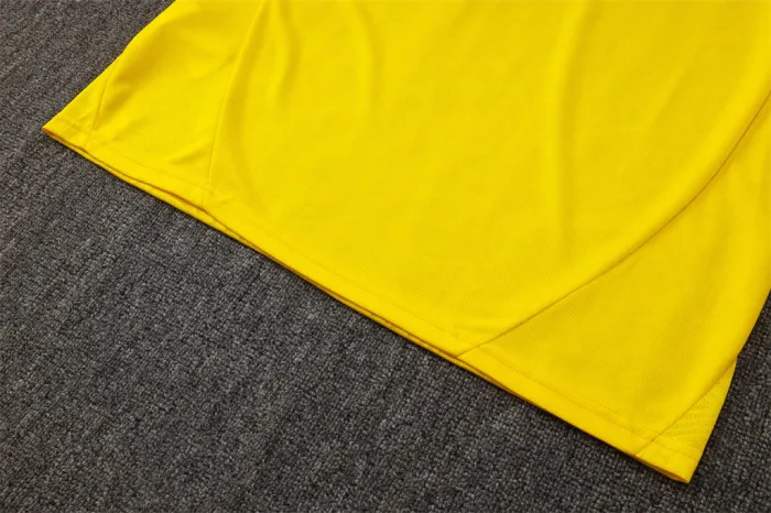 Borussia Dortmund Training Short sleeve Jersey 24/25