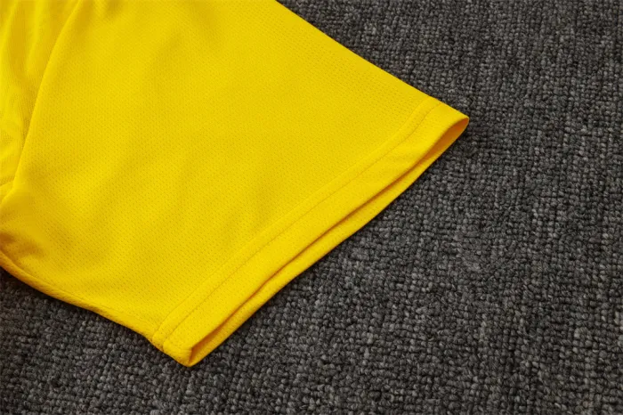 Borussia Dortmund Training Short sleeve Jersey 24/25
