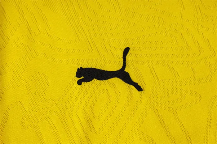 Borussia Dortmund Training Short sleeve Jersey 24/25