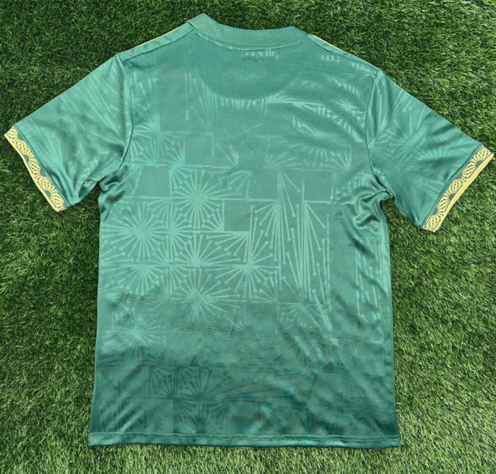 Mexico Gold Men Jersey 25/26 Green
