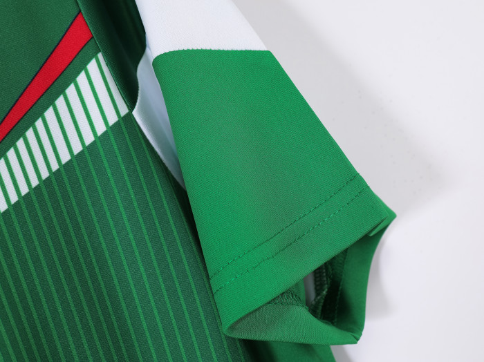Mexico Home Retro Jersey 2014