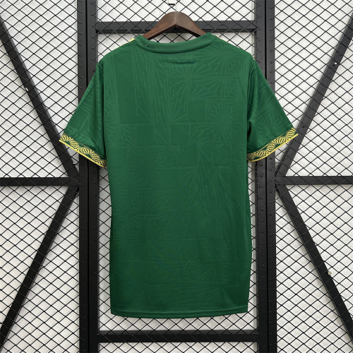 Mexico Gold Men Jersey 25/26 Green