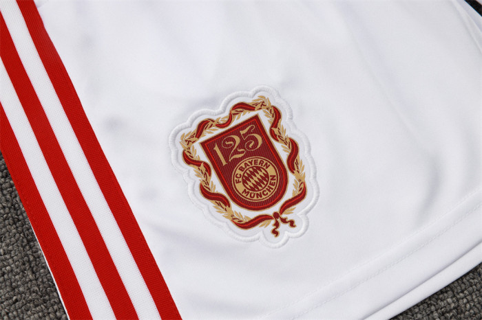 Bayern Munich Training Jersey 25/26