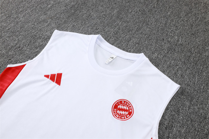 Bayern Munich Training Jersey 25/26