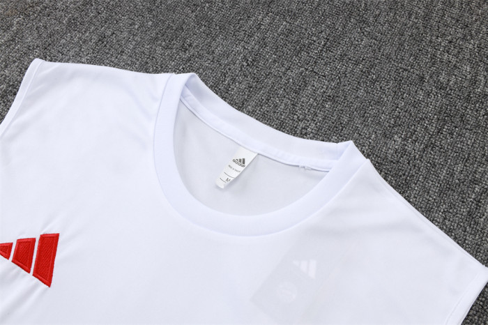 Bayern Munich Training Jersey 25/26