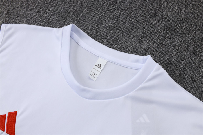 Liverpool Training Jersey 25/26