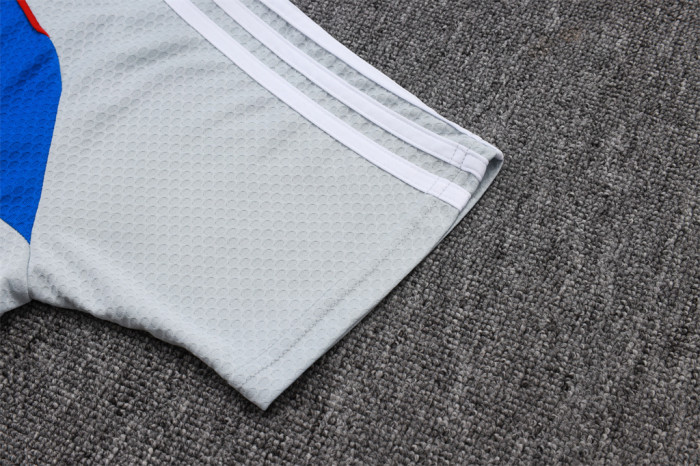 Bayern Munich Training Short sleeve Suit 25/26