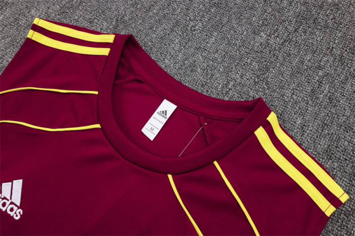 Arsenal Training Jersey 25/26