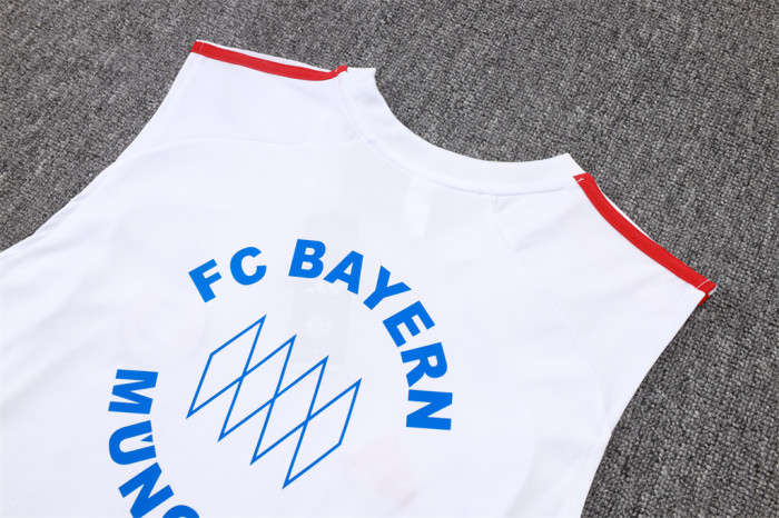 Bayern Munich Training Jersey 25/26