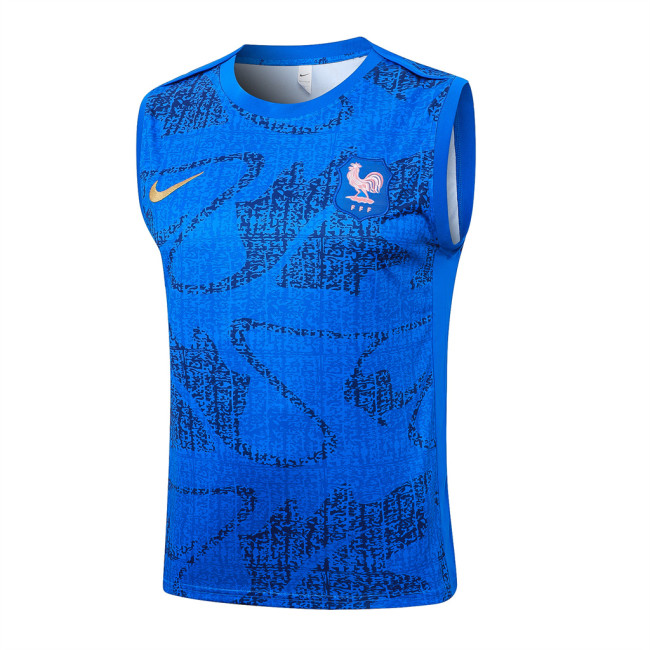 France Training Jersey 24/25