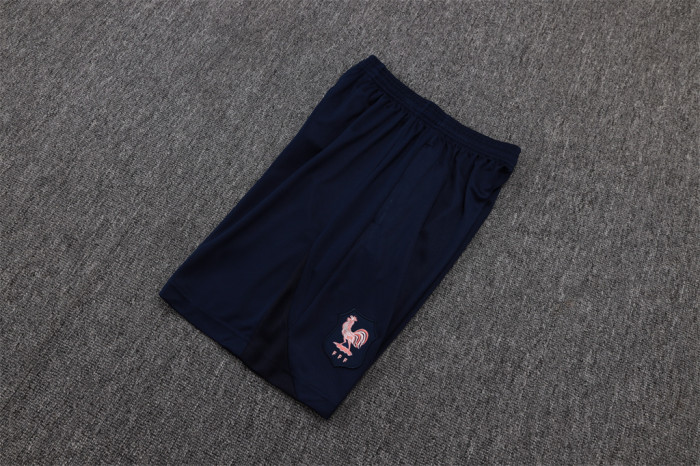 France Training Jersey 24/25