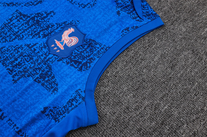 France Training Jersey 24/25