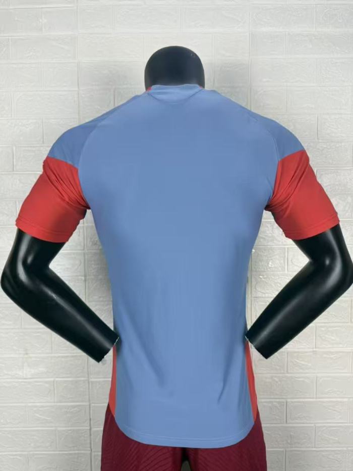 Japan 2026 World Cup Training Player Version Men Jerseyy