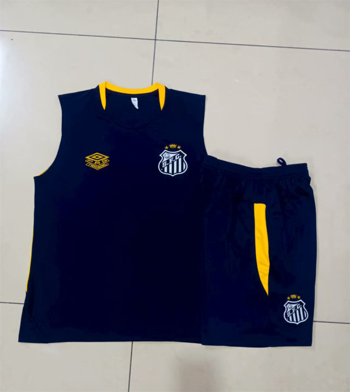 Santos Training Jersey 24/25