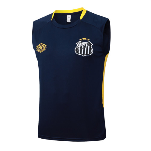 Santos Training Jersey 24/25