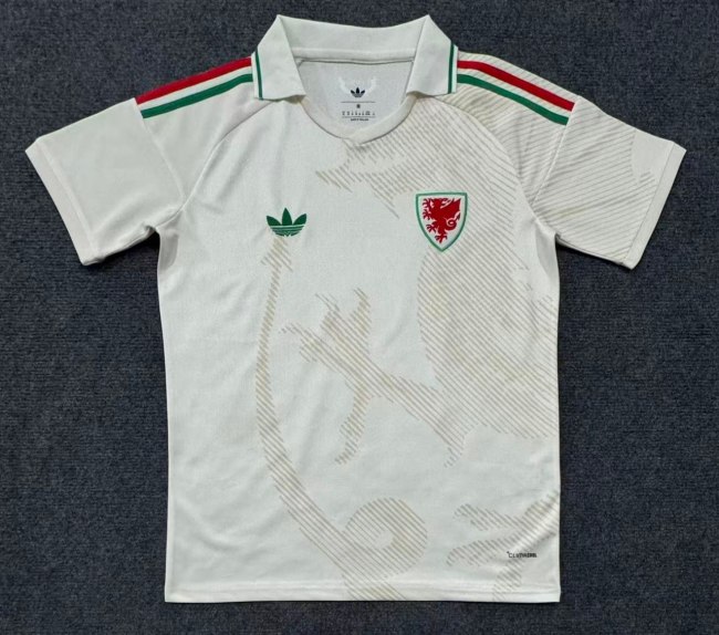 Wales 2026 World Cup Away Men Jersey