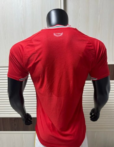 Wales 2026 World Cup Home Player Men Jersey