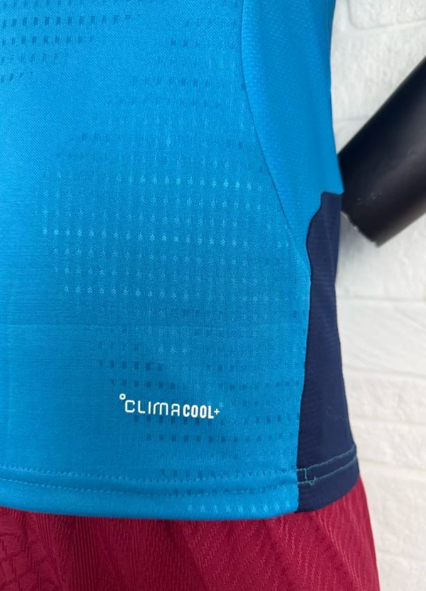 Spain 2026 World Cup Training Player Man Jersey