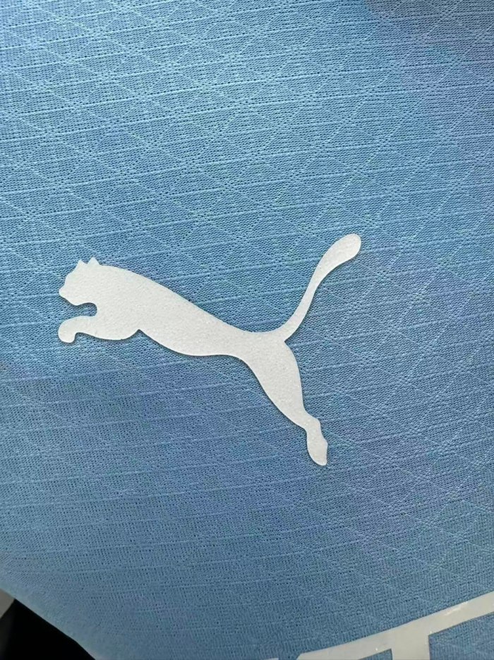 Manchester City Home Player Men Jersey 26/27