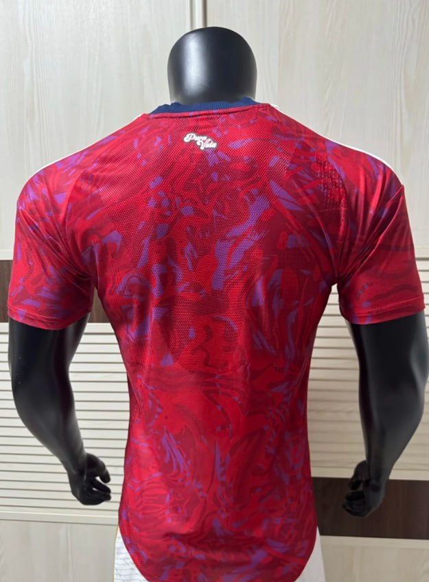 Costa Rica 2026 World Cup Home Player Men Jersey