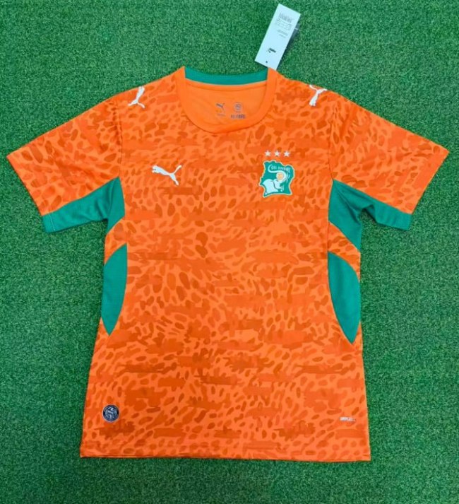 Ivory Coast 2026 World Cup Home Men Jersey