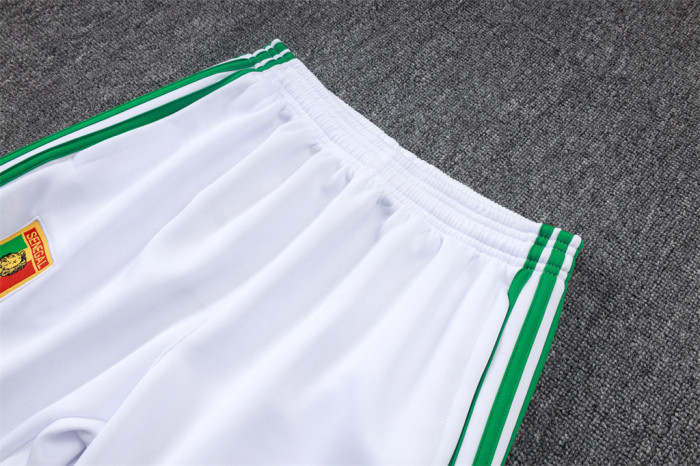 Senegal Training Jacket 26/27