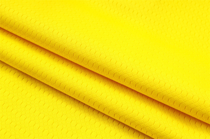 Borussia Dortmund Training Jersey Suit 25/26