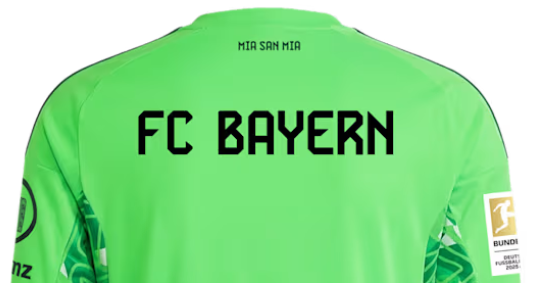 Bayern Munich Goalkeeper Men Jersey Suit 26/27