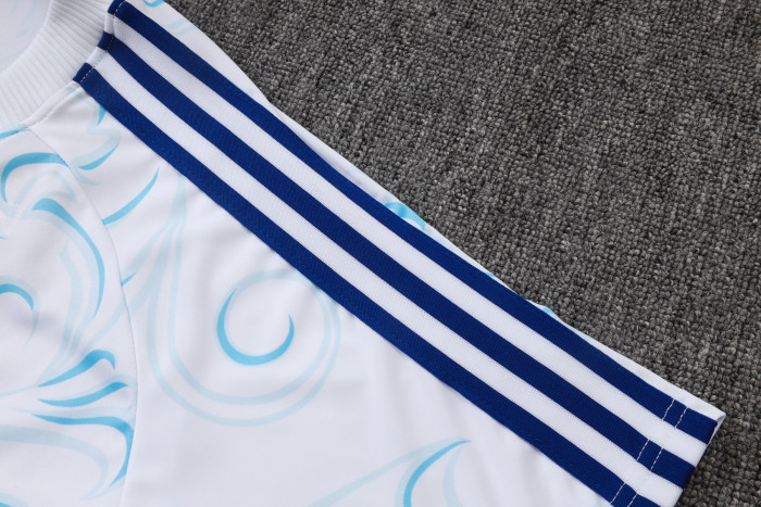 Argentina Training Short sleeve Jersey 26/27
