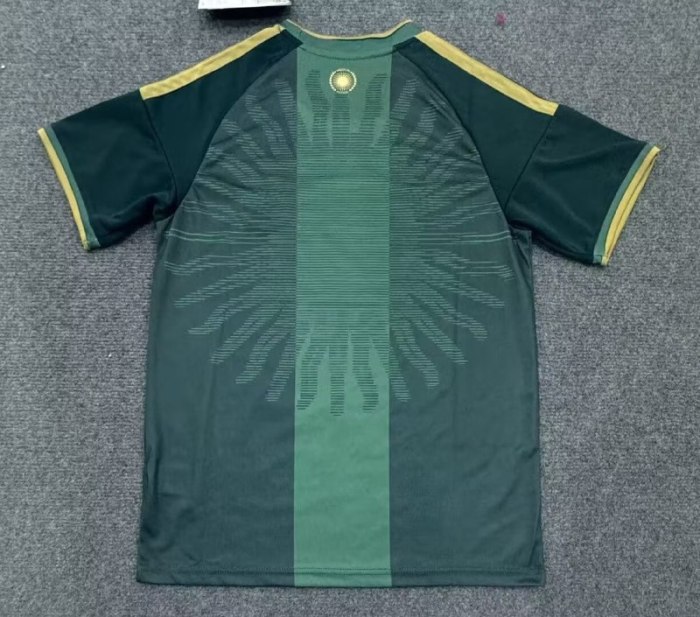 Argentina 2026 Commemorative Edition Men Jersey