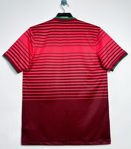 Portugal World Cup Home Retro Jersey 2014