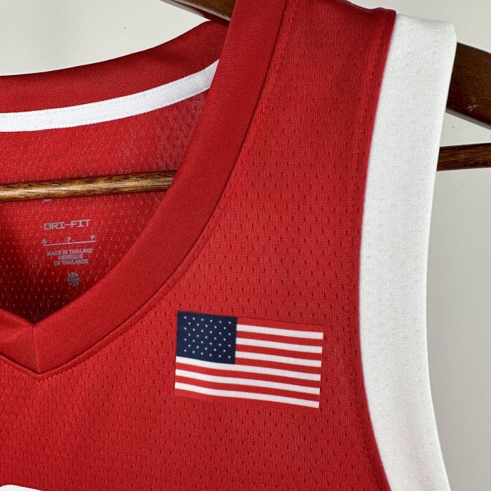 LeBron James Team USA 2024 Swingman Jersey Red