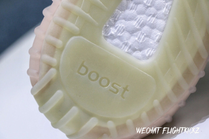 Yeezy Boost 350 V2  True Form  2019(LN5 A1)