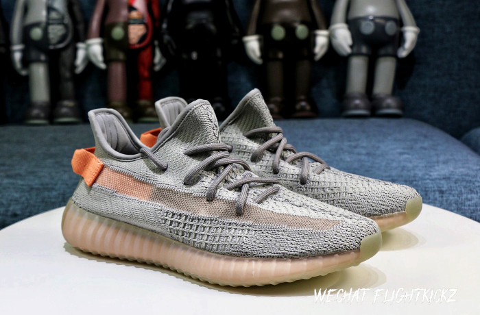 Yeezy Boost 350 V2  True Form  2019(LN5 A1)