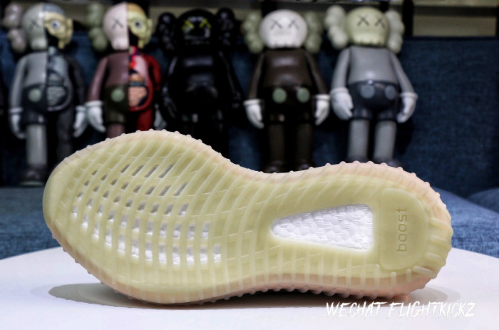 Yeezy Boost 350 V2  True Form  2019(LN5 A1)