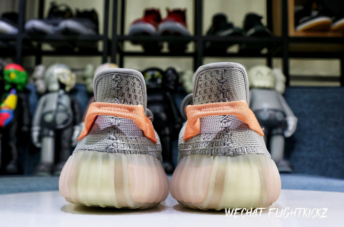 Yeezy Boost 350 V2  True Form  2019(LN5 A1)
