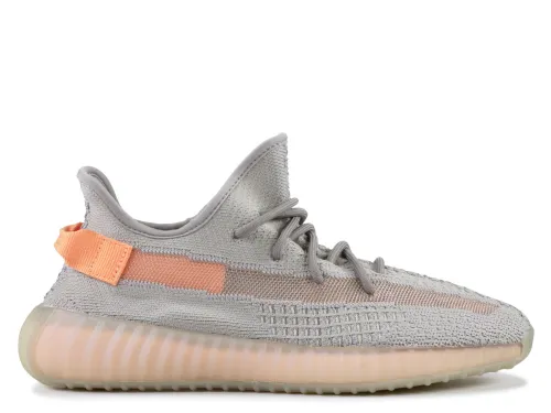 Yeezy Boost 350 V2 True Form 2019(LN5 A1)