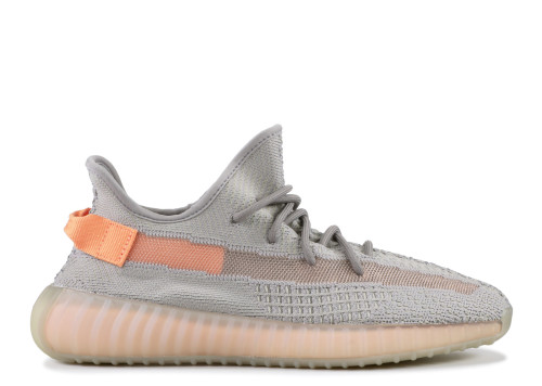 Yeezy Boost 350 V2  True Form  2019(LN5 A1)