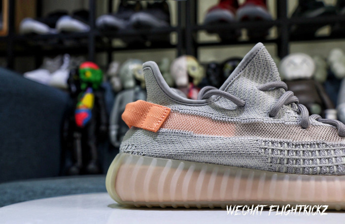 Yeezy Boost 350 V2  True Form  2019(LN5 A1)