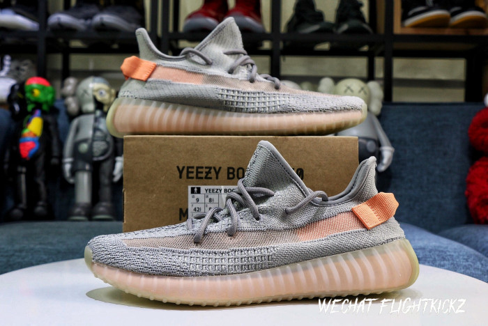 Yeezy Boost 350 V2  True Form  2019(LN5 A1)