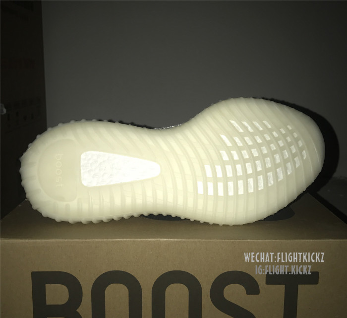 Yeezy 350 Boost V2 Static 3M Reflective(LN5 A1)