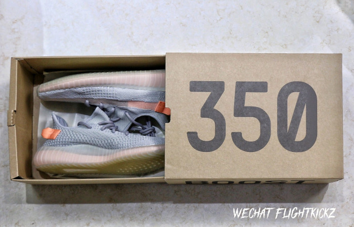 Yeezy Boost 350 V2  True Form  2019(LN5 A1)
