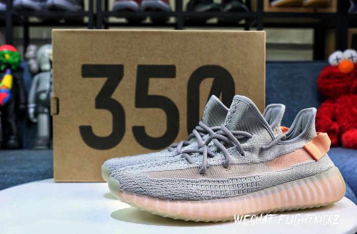 Yeezy Boost 350 V2  True Form  2019(LN5 A1)